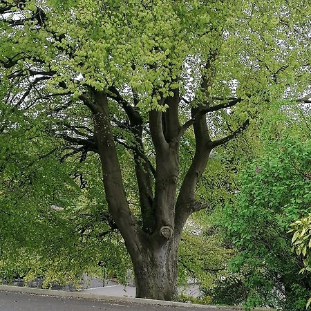 뉴리 The Beeches 아파트 외부 사진